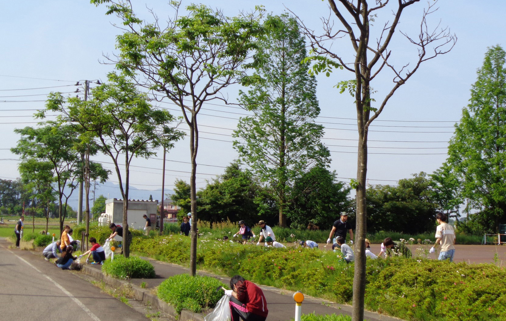 工場周辺のゴミ拾いと植木枡の草取り風景