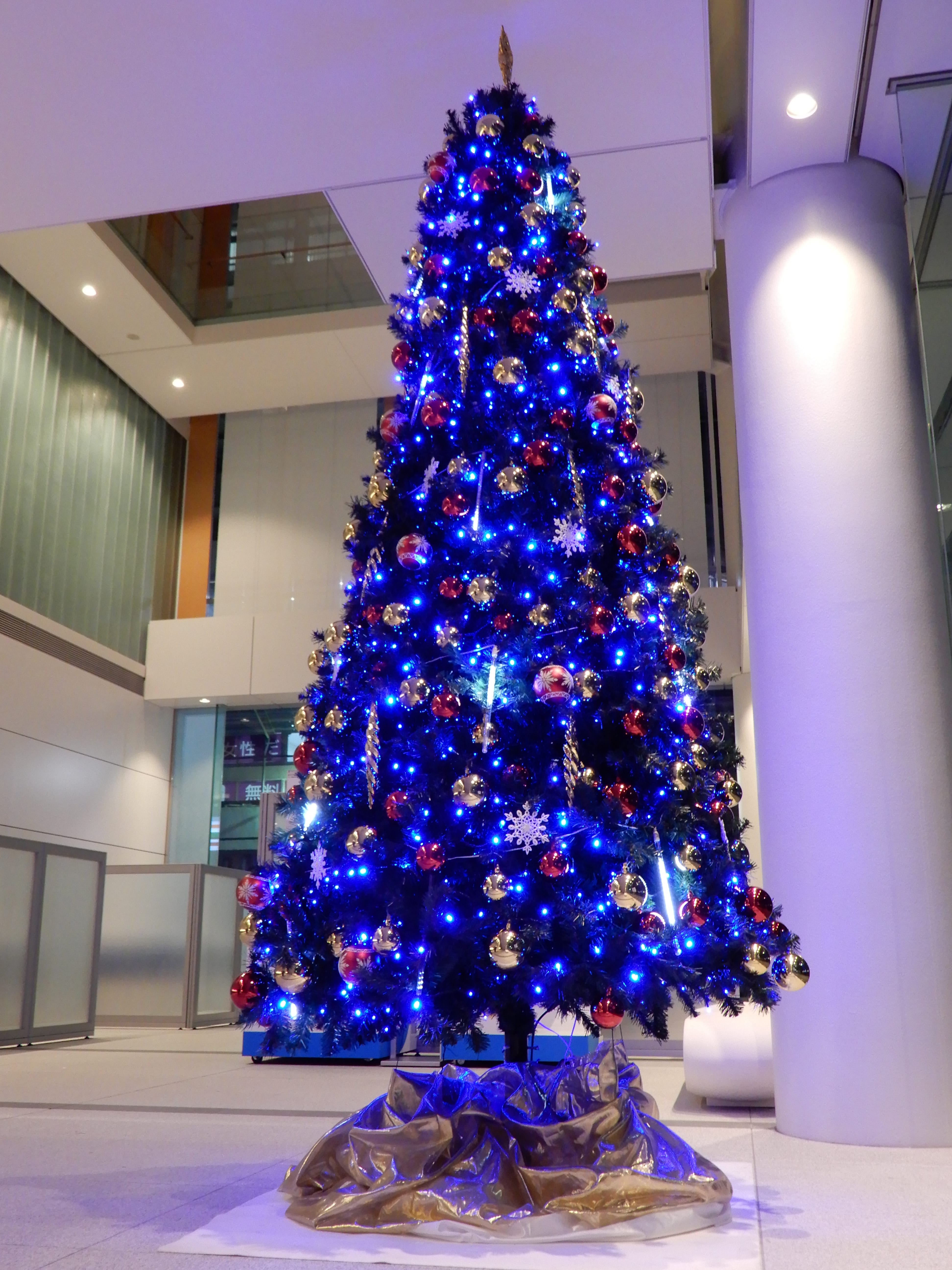 本社クリスマスツリー